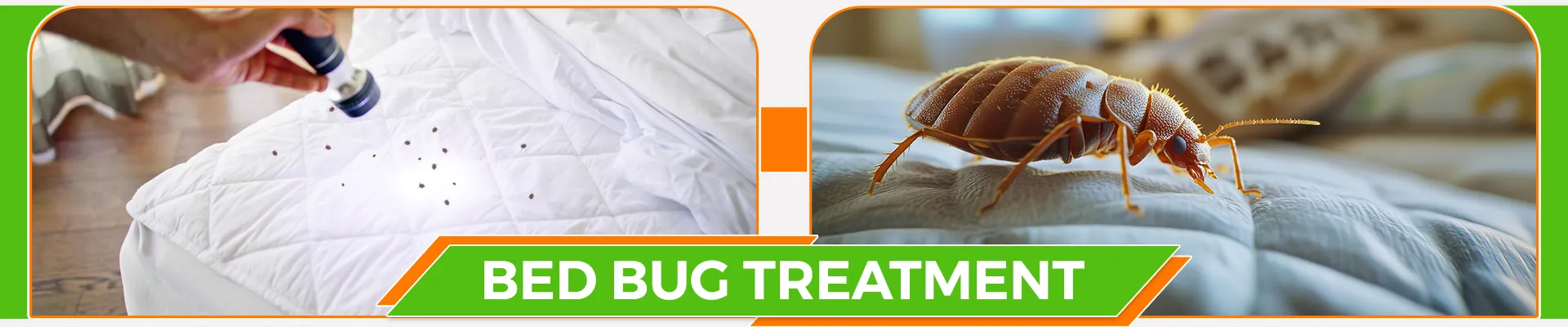 carpet cleaners in Staten Island, carpet cleaning in Staten Island, carpet cleaning staten island, carpet cleaners in staten island,  commercial carpet cleaning, commercial carpet cleaning in staten island,carpet cleaning in staten island,  staten island rug cleaners, rug cleaning services in staten island, same day carpet cleaning, same day rug cleaning